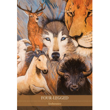 Blue Angel Shamanic Medicine Oracle Cards
