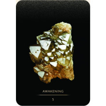 Master Teacher Crystal Oracle Kortos Rockpool Master Teacher Crystal Oracle Kortos Rockpool