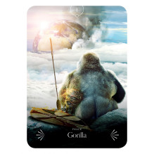 Rockpool Divine Animals Oracle Cards