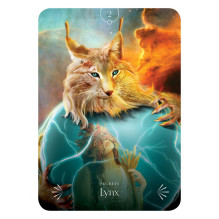 Rockpool Divine Animals Oracle Kortos