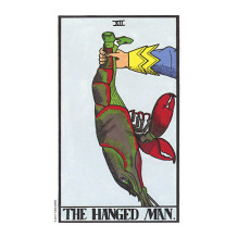 US Games Systems The Wonderland Tarot Cards in a Tin Box