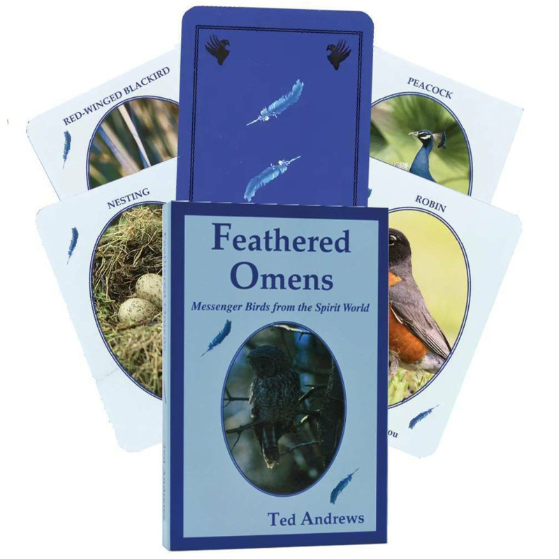 Dragonhawk Publishing Feathered Omens Spiritual Kortos