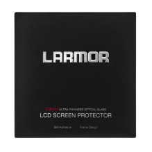 GGS Larmor LCD screen...
