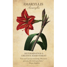 US Games Systems Botanical Inspirations Kortos