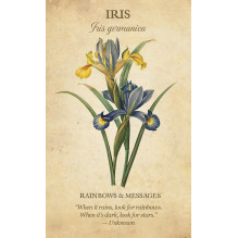 US Games Systems Botanical Inspirations Cards