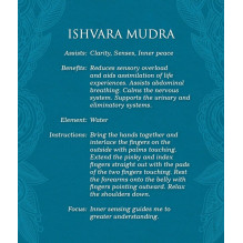 US Games Systems Mudras: For Awakening The Five Elements Kortos
