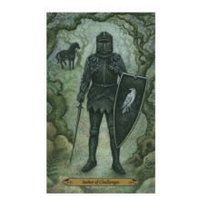 Llewellyn Forest Of Enchantment Tarot Cards