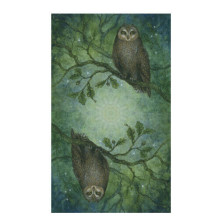 Llewellyn Forest Of Enchantment Tarot Cards