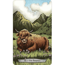 Llewellyn Animal Totem Tarot Cards
