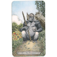 Llewellyn Animal Totem Taro Kortos
