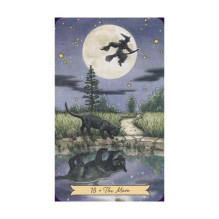 Llewellyn Everyday Witch Taro Kortos