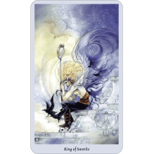 Llewellyn Shadowscapes Tarot Cards and Book (set)