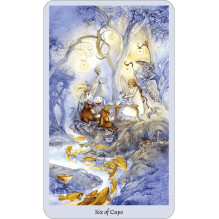 Llewellyn Shadowscapes Taro Kortos Ir Knyga (rinkinys)