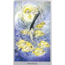 Llewellyn Shadowscapes Tarot Cards and Book (set)