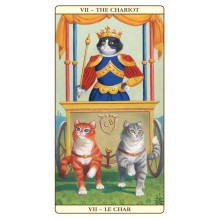 Lo Scarabeo Marseille Cat Tarot Cards