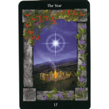 Llewellyn Sacred Circle Taro Kortos