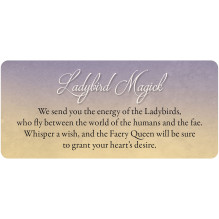 Blue Angel Faery Whispers Oracle Kortos