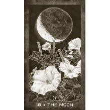 US Games Systems New Era Elements Tarot Cards