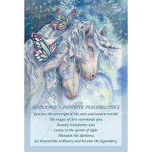US Games Systems Spirit Of The Animals Oracle Cards