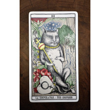 Fournier Tarot Cats Kortos