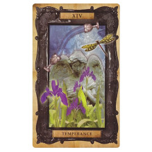Cico Books The Victorian Steampunk Tarot Cards