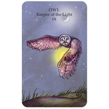 Cico Books Spirit Animal Tarot Cards