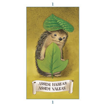 Lo Scarabeo Fairy Tarot Cards