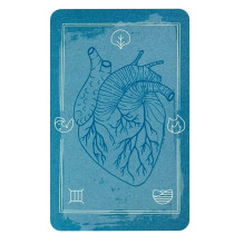Cico Books The Body Tarot Cards