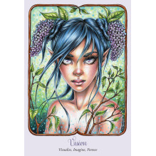 Blue Angel Feary Temple Oracle Cards