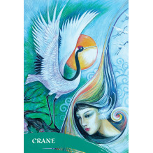 Blue Angel The Zen Of Animals Oracle Kortos