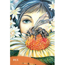 Blue Angel The Zen Of Animals Oracle Cards
