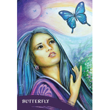Blue Angel The Zen Of Animals Oracle Kortos