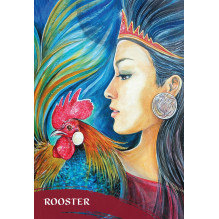 Blue Angel The Zen Of Animals Oracle Kortos