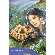 Blue Angel The Zen Of Animals Oracle Cards