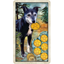 US Games Systems Wise Dog Tarot Cards