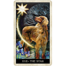 US Games Systems Wise Dog Tarot Cards