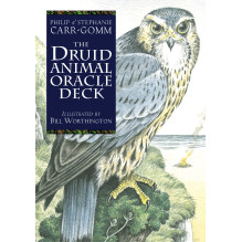 The Celtic Tree Oracle kortos Welbeck Publishing The Celtic Tree Oracle kortos Welbeck Publishing