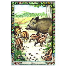 The Celtic Tree Oracle Cards Welbeck Publishing The Celtic Tree Oracle Cards Welbeck Publishing