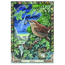 The Celtic Tree Oracle kortos Welbeck Publishing The Celtic Tree Oracle kortos Welbeck Publishing