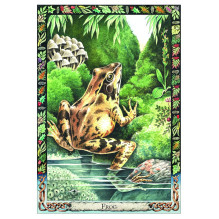 The Celtic Tree Oracle kortos Welbeck Publishing The Celtic Tree Oracle kortos Welbeck Publishing