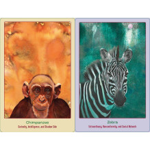 Bear And Company Animal Love Oracle Kortos
