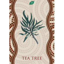 Rockpool Aboriginal Healing Oracle Cards Rockpool Aboriginal Healing Oracle Cards