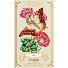 Blue Angel Enchanted Blossoms Oracle Kortos