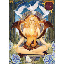Blue Angel Pocket Dreams Of Gaia Tarot Cards