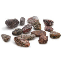 Ancient Wisdom Leopard Skin...