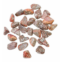 Ancient Wisdom Leopard Skin Jasper (24 Pieces, Size M)
