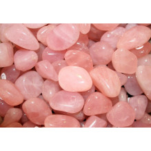 Ancient Wisdom Rose Quartz (24 pcs. M size)
