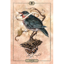 US Games Systems Hush Tarot Cards US Games Systems Hush Tarot Cards