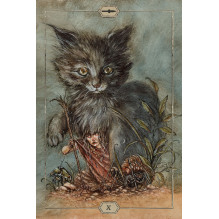 US Games Systems Hush Tarot Cards US Games Systems Hush Tarot Cards