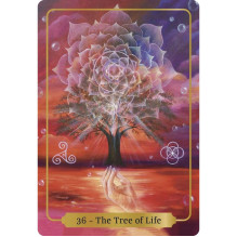 Animal Dreaming Sacred Blessings Oracle Cards